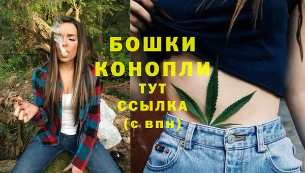 индика Верея